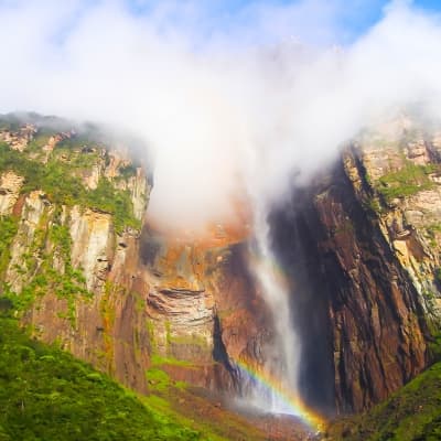 Rencontres au sein de la Gran Sabana