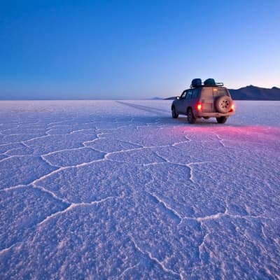 Safari à Uyuni