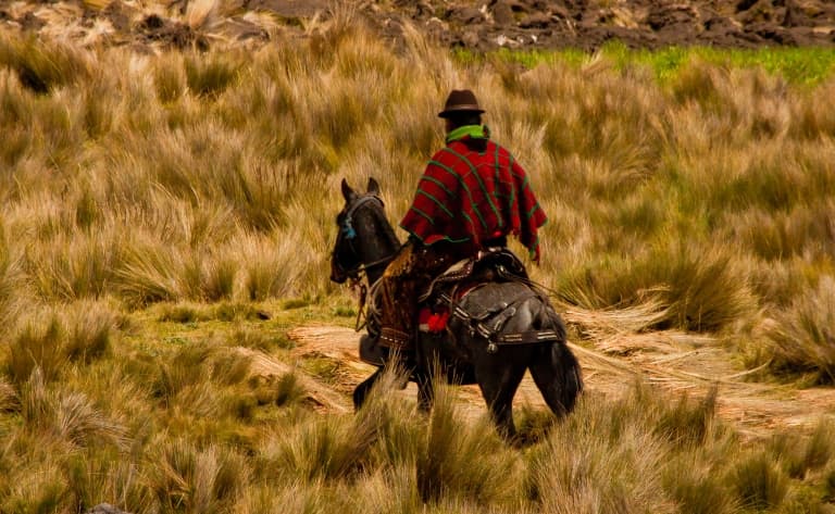 Randonnée à cheval à Chugchilan